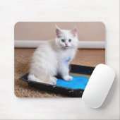 Witte kitten in verflade muismat (Met muis)