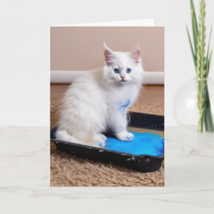 Witte kitten in verflade voor verjaardag kaart