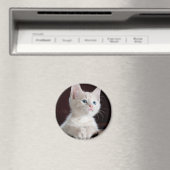 Witte kitten magneet (Insitu (Vaatwasser))