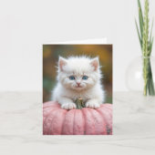 Witte kitten op roze pompoen kaart (Voorkant)