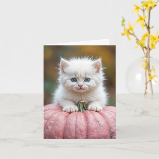 Witte kitten op roze pompoen kaart (Gele Bloem)