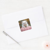 Witte kitten op roze pompoen vierkante sticker (Envelop)