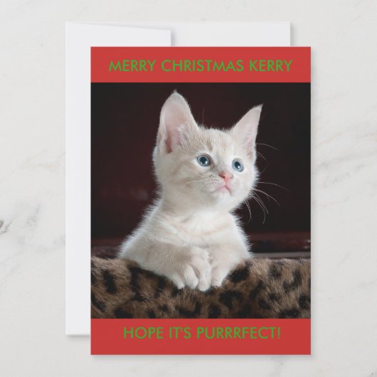 WITTE KITTEN PERSONALISATIE FEESTDAGENKAART (Voorkant)
