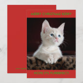 WITTE KITTEN PERSONALISATIE FEESTDAGENKAART (Voorkant / Achterkant)