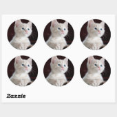 Witte kitten ronde sticker (Vel)