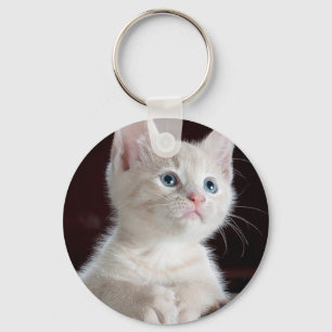 Witte kitten sleutelhanger