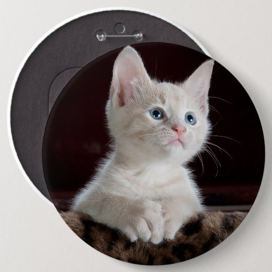 Witte kittenportret ronde button 6,0 cm (Voorkant /achterkant)