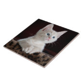 Witte kittenportret tegeltje (Zijkant)