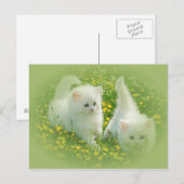 witte kittens en groene bloemen briefkaart (Voorkant / Achterkant)