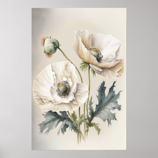 Witte klaproos bloemen kunstprint poster (Voorkant)