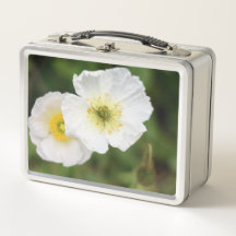 Witte Klaproos Close-up Bloem Lunchbox 
