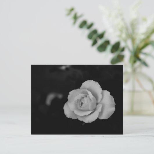 Witte kleine roos bloesem op zwarte achtergrond briefkaart (Staand voorkant)