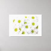Witte Kleur Bloemen afbeelding gedrukt Premium Wra Canvas Afdruk (Voorkant)