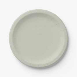 Witte kleur Solid Color Papieren Bordje
