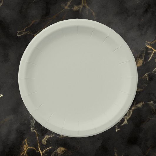 Witte kleur Solid Color Papieren Bordje