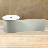 Witte kleur Solid Color Satijnen Lint