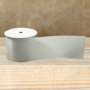 Witte kleur Solid Color Satijnen Lint