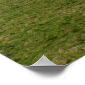 Witte kliffen van het eiland Wight Poster (Hoek)