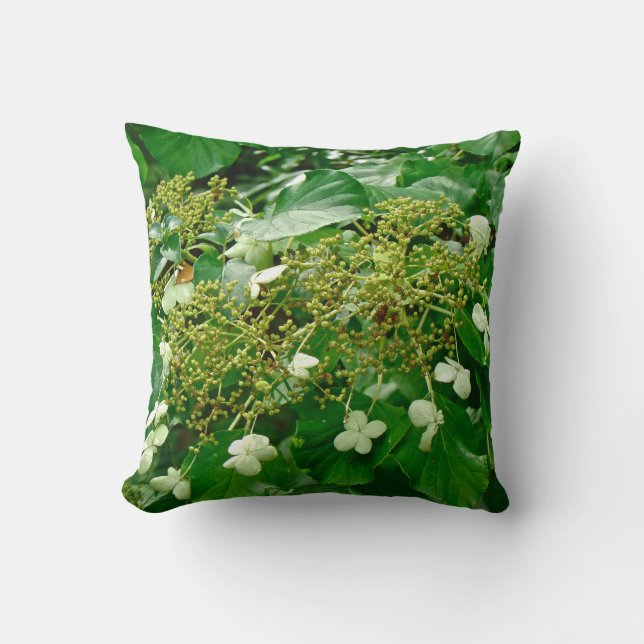 Witte klimkophydrangea — Piloot Kussen (Voorkant)