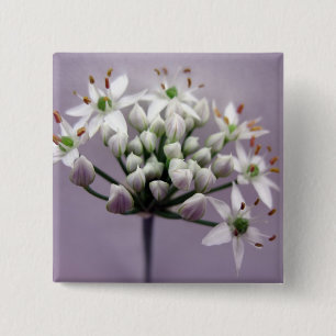 Witte knoflookbiesbloesems op paars vierkante button 5,1 cm