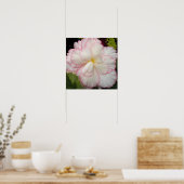 Witte Knolbegonia Bloei Bloem Poster (Keuken)