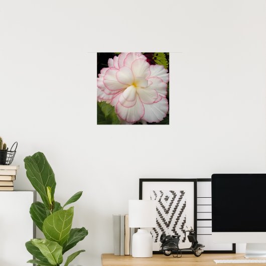 Witte Knolbegonia Bloei Bloem Poster (Thuiskantoor)