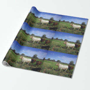 Witte Koe en zijn kudde, Cadeaupapier