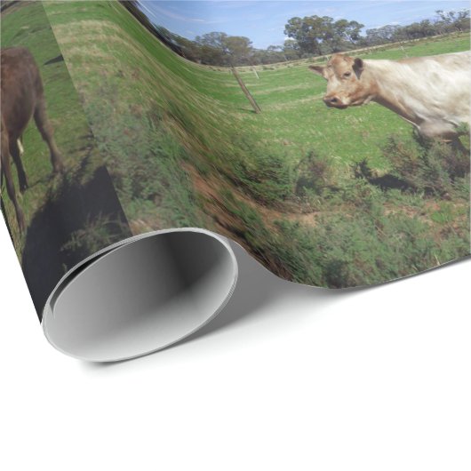 Witte Koe en zijn kudde, Cadeaupapier (Rol Hoek)