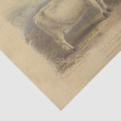 Witte Koe Ephemera Decoupage  Boerderij Tissuepapier (Detail)