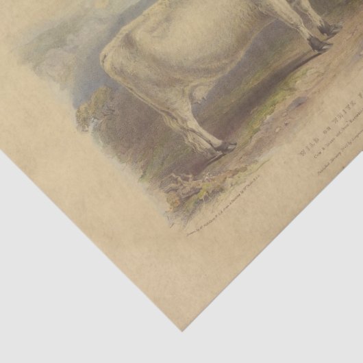 Witte Koe Ephemera Decoupage Boerderij Tissuepapier (Detail)