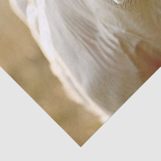 Witte Koe in Boerderij Field Decoupage Tissuepapier (Detail)