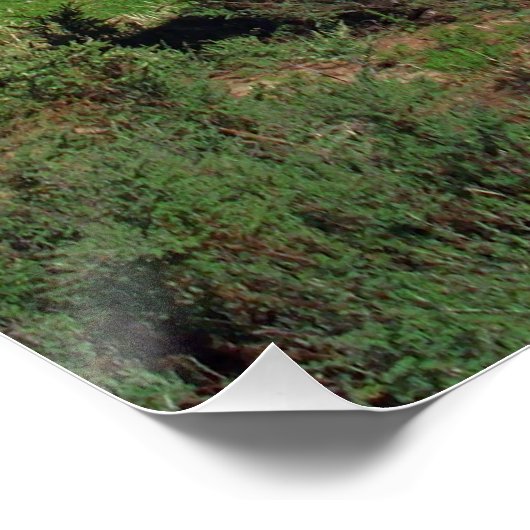 Witte Koe leidt de kudde, Perfect Poster (Hoek)