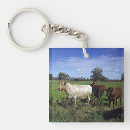 Witte Koe leidt de kudde, Sleutelhanger (voorkant)