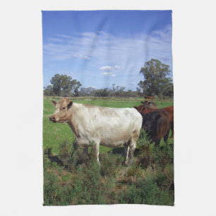 Witte Koe met bruine Koe Herd, Theedoek