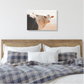 Witte Koe met vogeltje op de rug Canvas Afdruk (Insitu (Slaapkamer))