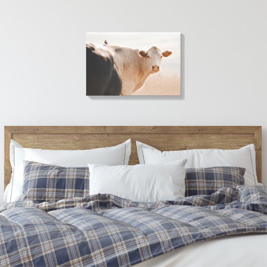Witte Koe met vogeltje op de rug Canvas Afdruk (Insitu (Slaapkamer))