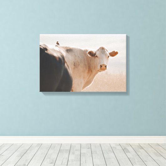 Witte Koe met vogeltje op de rug Canvas Afdruk (Insitu (Houten vloer))