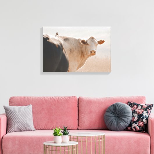 Witte Koe met vogeltje op de rug Canvas Afdruk (Insitu (Woonkamer))