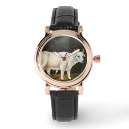 Witte Koe op een zwarte achtergrond (Boerderij Die Horloge