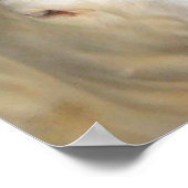 Witte Koe Poster (Hoek)