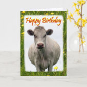 Witte koe verjaardagskaart kaart (Gele Bloem)