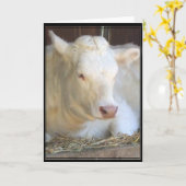 Witte koe wenskaart kaart (Gele Bloem)