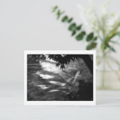 Witte Koi: Japan Briefkaart (Staand voorkant)