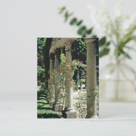 Witte kolommen en rozen - Parc Monceau, Franse gri Briefkaart (Staand voorkant)