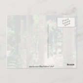 Witte kolommen en rozen - Parc Monceau, Franse gri Briefkaart (Achterkant)