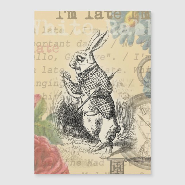 Witte Konijn Alice Avonturen Wonderland Kunst (Voorkant)