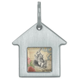 Witte Konijn Alice Avonturen Wonderland Kunst Huisdieren Naamplaatje