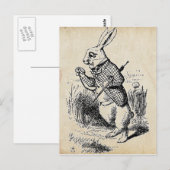 witte konijn briefkaart (Voorkant / Achterkant)