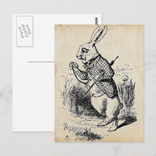  witte konijn briefkaart (Voorkant / Achterkant)