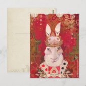 Witte konijn briefkaart (Voorkant / Achterkant)
